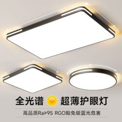 Led Ceiling Light Circular Lighting Source Bedroom Lamp Modern Minimalist Living Room Lighting Fixtures Hallway Corridor Balcony Light Core