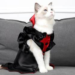 Cat Halloween Vampire Funny Costume