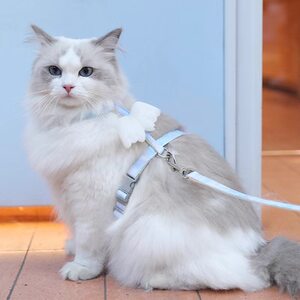 
Cat cartoon traction rope for preventing breaking from going out I-shaped adjustable pet special mutt for Teddy small dog