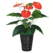 Cây xanh cây giả nhỏ giọt Quán Âm anthurium mô phỏng cây trồng trong chậu phòng khách văn phòng sàn trang trí nhựa hoa nghệ thuật hoa giả cẩm tú cầu Cây hoa trang trí