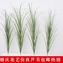 Artificial Green Plants, Dog Tail Grass, Onion Grass, Reed Grass, Floor-Standing Potted Plants, Decorative Bonsai, Indoor Living Room Plant Landscaping