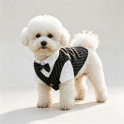 Cat Pet Clothing Teddy Bichon Small Dog Clothes Spring and Summer Style Suit Dress Birthday Wedding Outfit