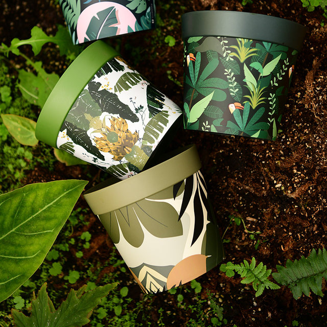 Huaxin Jungle Basin Creative Flower Pot Orchid Basin Thickening Durable Hotchyl Polying Basin Inside Home Home Decoration Beauty
