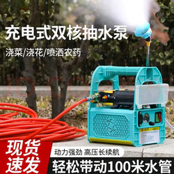 Electric Sprayer, Agricultural High-Pressure Pesticide Sprayer, Dual-Pump Water Pump, Car Wash Machine, Portable Pesticide Spray Pump