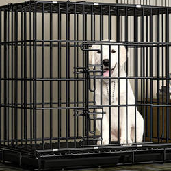 Indoor Dog Cage with Toilet for Medium-Sized Dogs, Foldable Pet Cage, Cat Cage, Rabbit Cage with Toilet and Flushing System