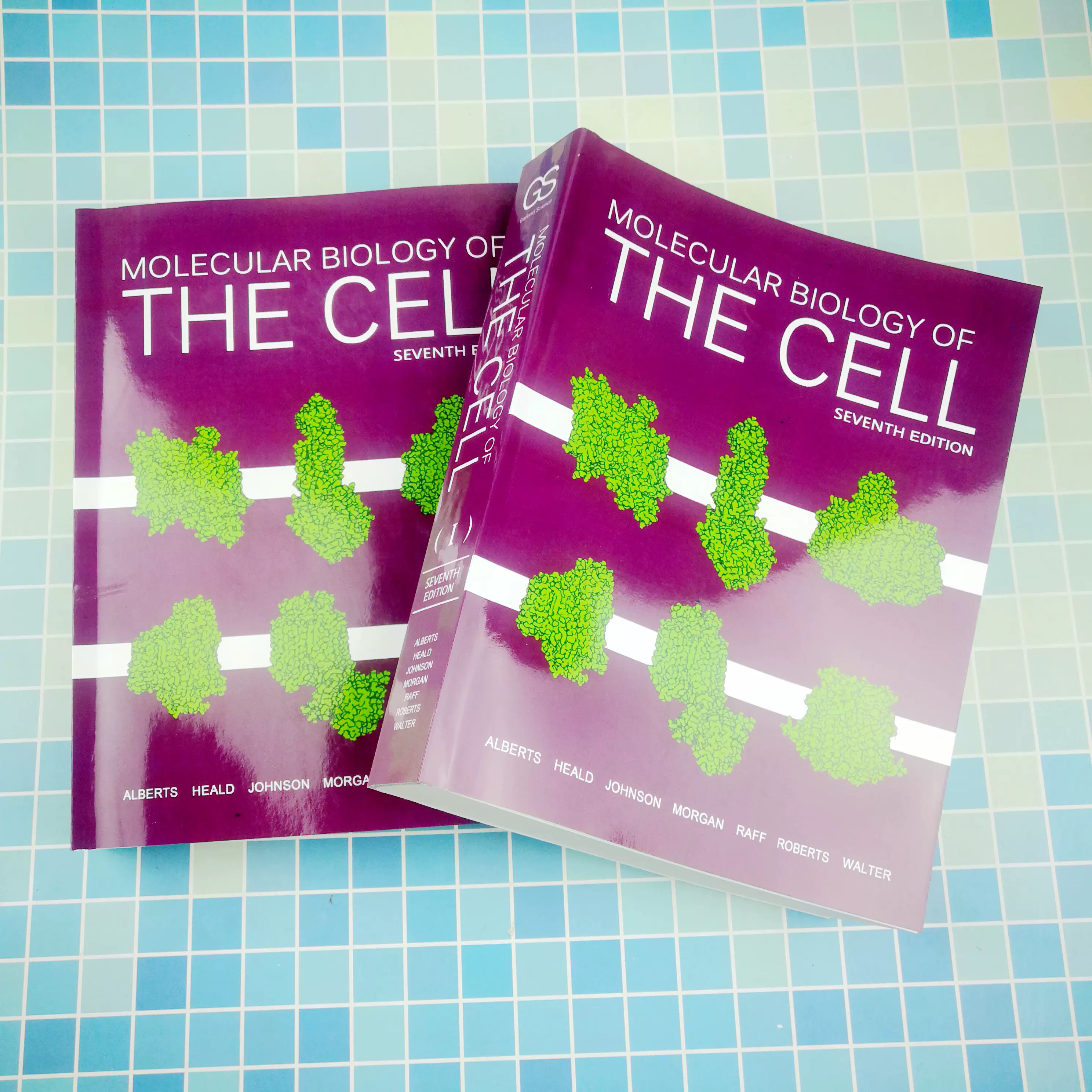 全彩英文Molecular Biology of the Cell 第七版分子细胞生物学-Taobao