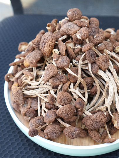 Sifatli, chiroyli seks, sifatli video Xotiningiz oldida porno aldash