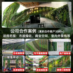 Simulated plant wall outdoor sun protection lawn flame retardant plastic encrypted artificial turf landscaping greening project green plant wall