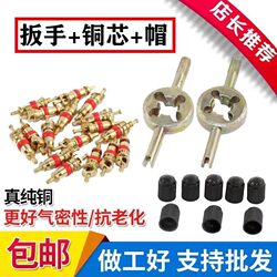 Tire Valve Core Thread Wrench Valve Key Valve Needle Car Motorcycle Electric Bicycle Valve Cap
