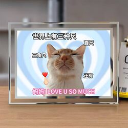 Happy Mother's Day, Love You Mom, Cute Cat, Quirky Love Message, Crystal Photo Frame Display Stand, Mom, Mother's Day Gift