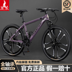 Phoenix Mountain Bike, Men's and Women's Variable-Speed Bicycle, Adult, Student, Teenager, Commuting, 27-Speed Road Racing