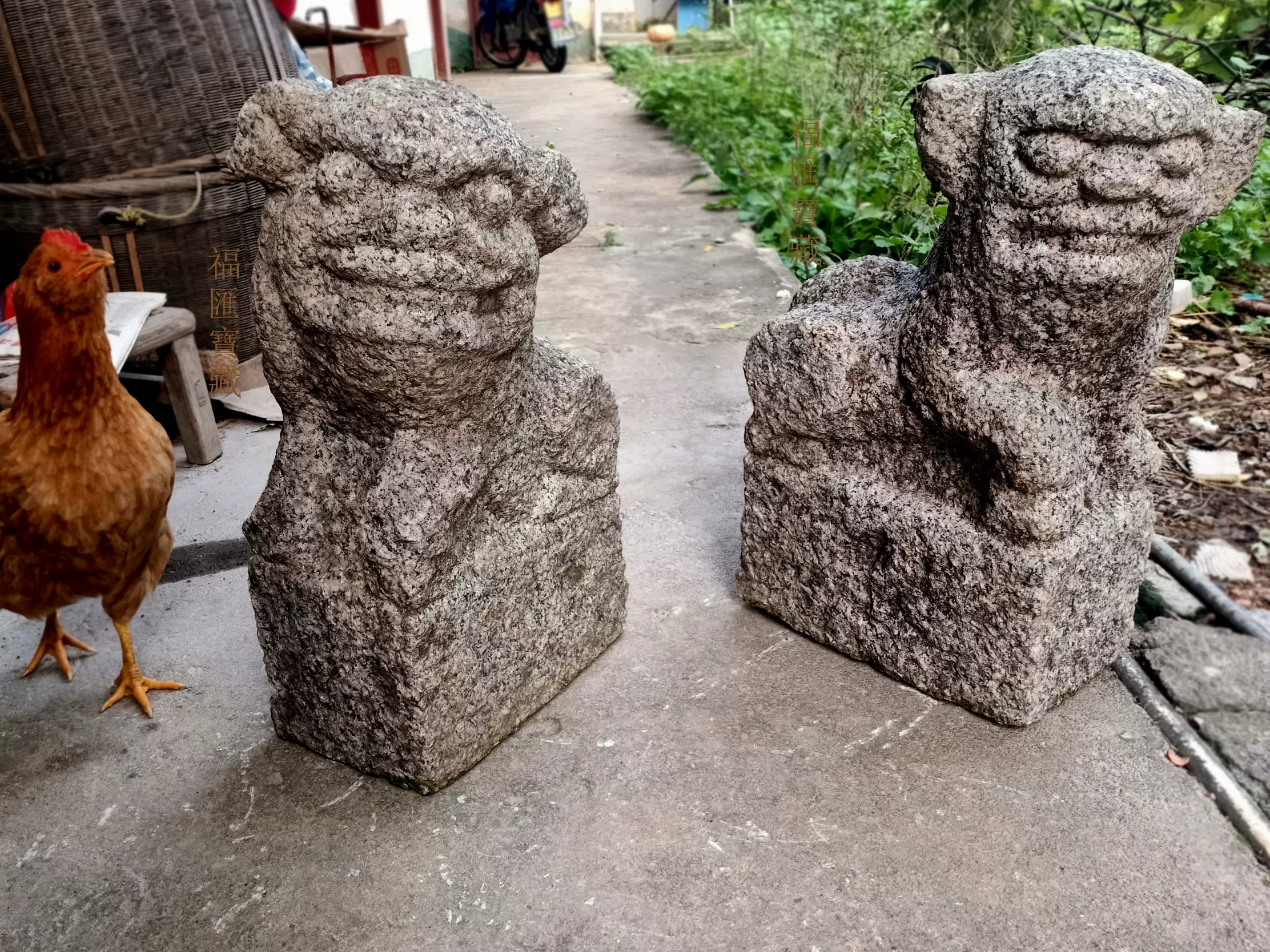 明代旗杆狮老石狮子绿豆青青石案头狮客家文化古董瑞兽狮摆件