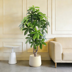 Artificial Green Plant Money Tree, Bionic Plant Potted Plant, Indoor Living Room Flower, Fake Tree Decoration, Large Plastic Bonsai