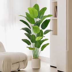 Artificial Green Plant Traveler's Banana Fake Plant Potted Plant Living Room Indoor Decoration Large Artificial Bird of Paradise Landscaping Ornament Tree