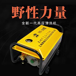 Shanghai Black Cat 380 Model Car Washing Machine High-Pressure 220V Cleaning Machine Farm Washing Equipment Commercial Car Washing Tool V
