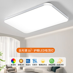 High-End Living Room Chandelier, Main Bedroom Eye-Protection Led Ceiling Lamp, Study Room Lighting, Modern Minimalist Zhongshan Lighting Fixtures