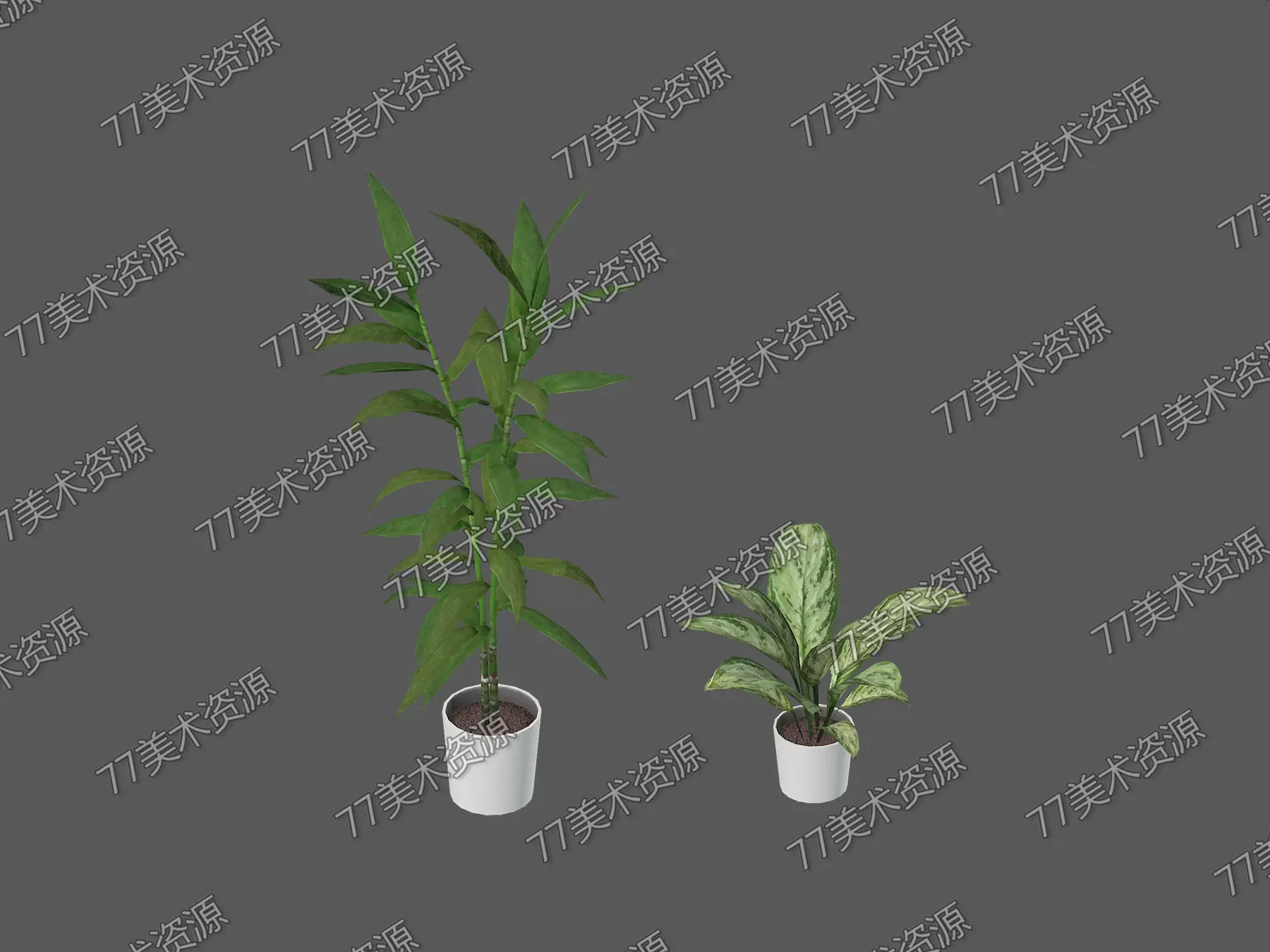次世代低模植物盆栽花盘花盆常青树3dmax模型unity游戏