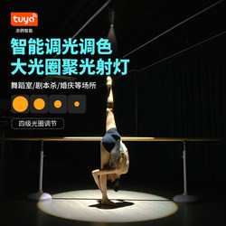 Large Aperture Spotlight, Spotlight for Script-Killing Mystery Rooms, Dance Studio Atmosphere Light, Dance Bar, Restaurant Stage Light