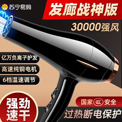 Hair Dryer for Home Use with Negative Ions for Hair Care, Strong Wind, Professional Salon-Grade, Quick-Drying, High-Power Hair Dryer 3524