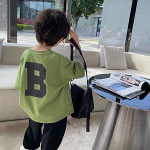 
Boys T-shirt Long Sleeve Boys Baby Children's Clothing 2024 New Spring and Autumn Children's Fake Two-Piece Tops Fashionable Thin Style