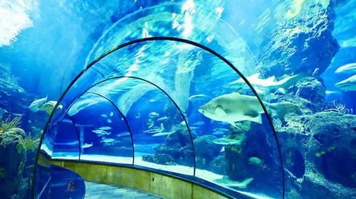 瑞丽水族馆图片