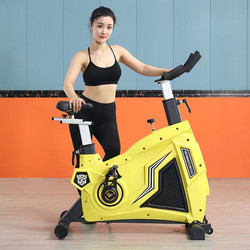 Dynamic Bicycle Hornet, Specialized for Silent Use at Home, Indoor Weight Loss, Commercial Gym Exercise Equipment, Fitness Bike