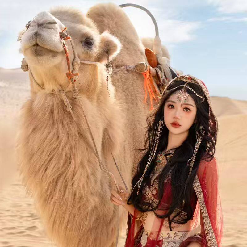 10人小团 河西走廊张掖嘉峪关敦煌莫高窟跟团游4天3晚 敦煌旅游