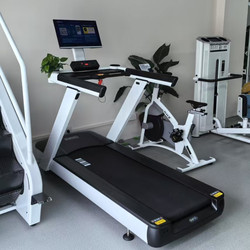 Dhz Big Beard X8400A Commercial Treadmill for Home Use, Smart, Silent, Indoor Weight Loss Fitness Equipment for Gym