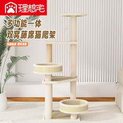 Cat Climbing Frame, Cat House, Cat Tree All-In-One, Large Cat Frame Tree, Summer Cat Toys, Rattan Mat, Space-Saving Cat Shelf Supplies