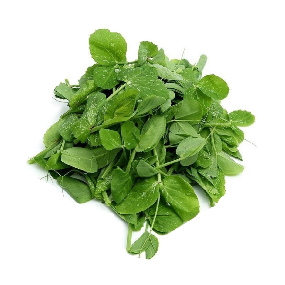 高評価なギフト 豌豆尖200g 野菜