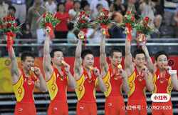 New Adult and Children's Aerobics Clothing, Children's Competitive Gymnastics Clothing, Artistic Gymnastics Clothing, Spandex High Elasticity