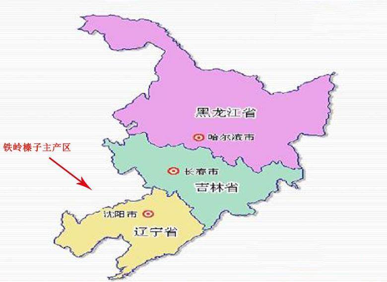 挑选营养榛子，果肉颗颗饱满(图5)