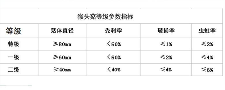 猴头菇挑得好，名品滋补又养胃！(图7)