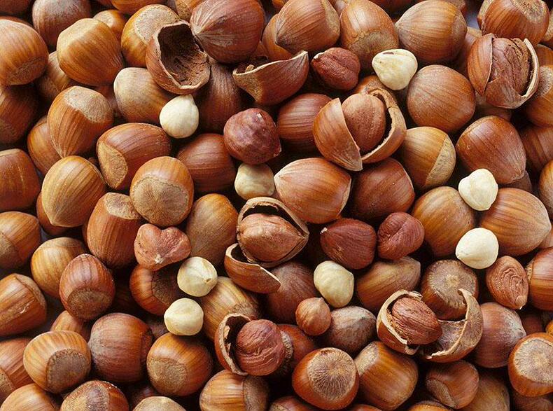 挑选营养榛子，果肉颗颗饱满(图6)