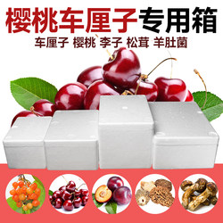 Cherry Foam Box, 3 Pounds of Cherries, 2.5kg Pieces, Packed in a Fresh-Keeping Box with Matsutake and Morel Mushrooms, with a Cardboard Box for Express Delivery, Wholesale