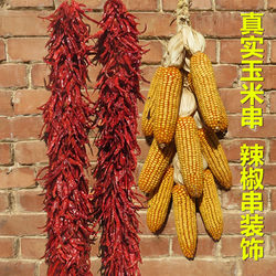 A Bountiful Harvest of Grains and Cereals, Farmhouse-Style Dried Corn Cobs, Crop Decorations, Corn Ears, Real Corn String Hangings