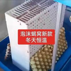 New Thickened Breeding Foam for Scorpion Farming, High-Density 46-Hole Foam with High Survival Rate from the Manufacturer