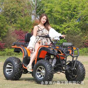 
All-terrain 200cc four-wheel off-road mountain beach motorcycle ATV adult and children stepless transmission venue scenic area