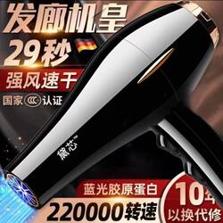 Household Hair Dryer with Negative Ions, Salon-Grade Wind Power, Blue Light Hair Care, Professional Hair Salon Hair Dryer, Hot and Cold, High Power