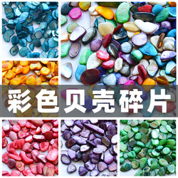 Shell Loose Particles for Children's DIY Crafts, Natural Material Accessories, Kindergarten Art Area Materials