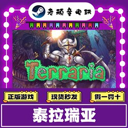 Steam Genuine Terraria China Region Gift Activation Code Cdk Terraria Brand New White Account Pc Game