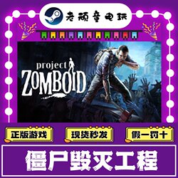 Steam Official Version Project Zomboid China Region Gift Activation Code Cdk New Account