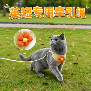
British short blue cat special kitten traction rope cat pet kitten anti-breakaway harness chest and cat walking rope