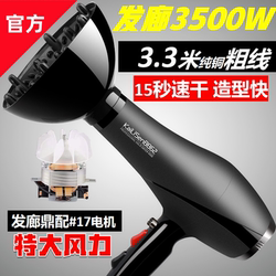 Hair Salon Hair Dryer Barber Shop Special High-Power Hair Dryer Household High-Wind Negative Ion Hair Care Silent Quick-Drying