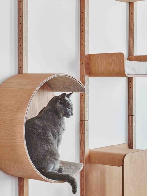 Alto cat climbing rack in Germany imported Miacara large oak cat tree ...