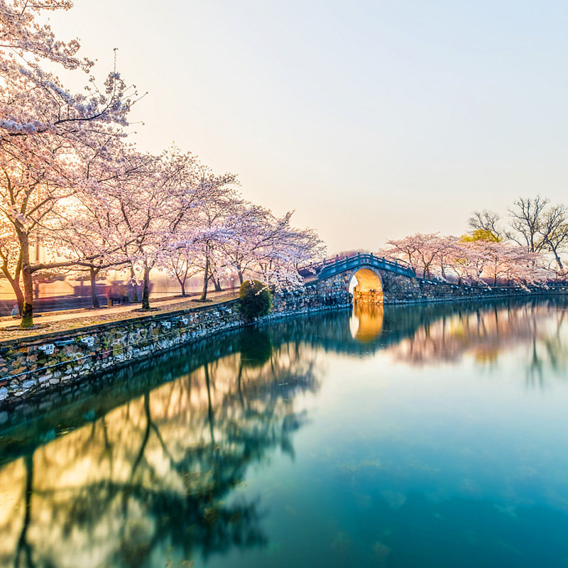 上海出发 苏州+杭州+乌镇4天3晚跟团游 狮子林 寒山寺雷峰塔
