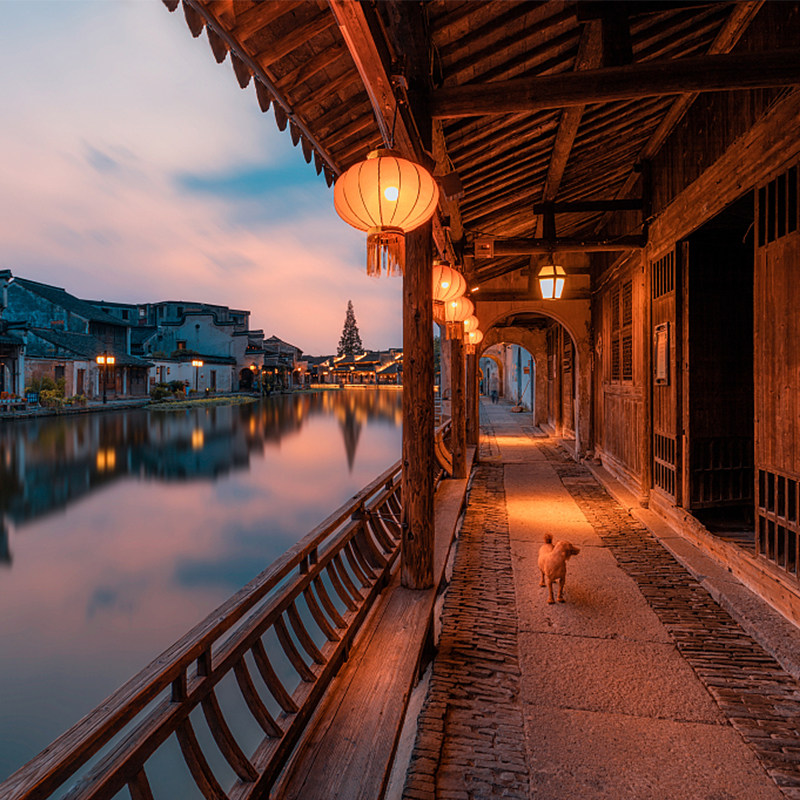 苏进杭出【留园+西栅+南浔+西塘+杭州】3日跟团游 纯玩0购物 50餐