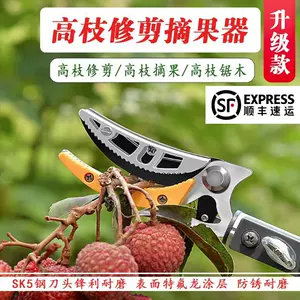 japanese high branch saw Latest Best Selling Praise Recommendation