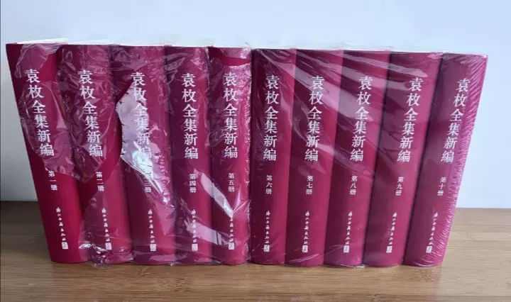 袁枚全集新編 全20冊 浙江古籍出版社