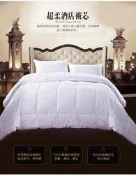 Hotel Pure White Quilt, Special down Velvet Quilt for Guesthouses, Single and Double Spring, Autumn and Winter Quilt Core, Hotel Bedding 
